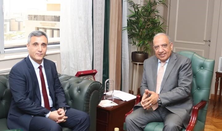 Egypt, Algeria probe enhancing cooperation in electricity, renewable energy 

